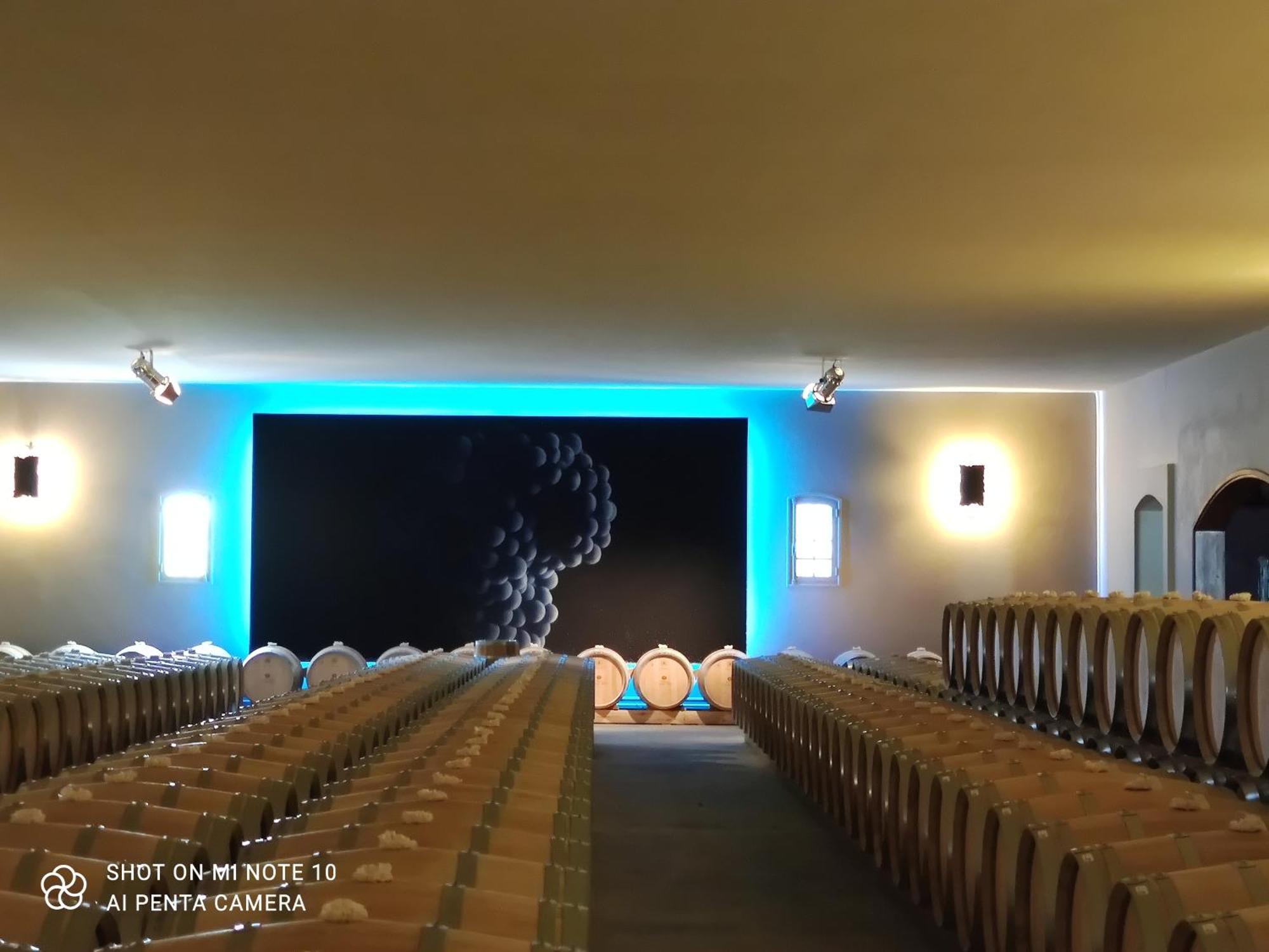 הוילה Jau-Dignac-et-Loirac Domaine Des Pres De Joussac - Protocole Sanitaire Strict מראה חיצוני תמונה